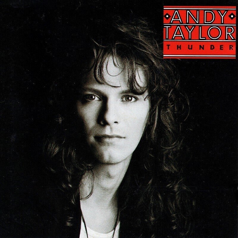 レコード】Andy Taylor / Thunder(1987 UK:61 US:46)｜マサ