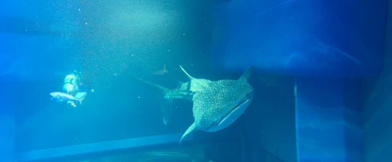 お金も指輪もないけど 旅行中にプロポーズした話 Life Note