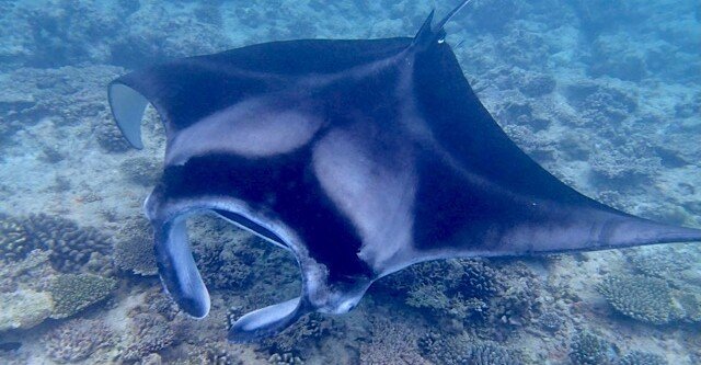 2098e57febe25be8dcda5cad1d5a1b