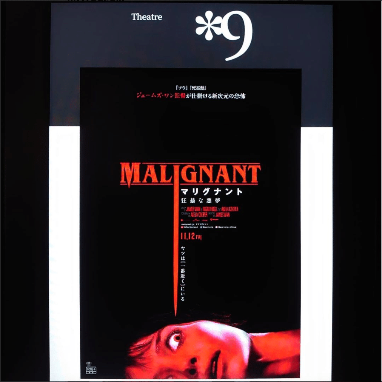 マリグナント 狂暴な悪夢/非売品/ポスター/B1/日本版劇場ポスター/限定5名 マリグナント 狂暴な悪夢/非売品/ポスター/B1/日本版劇場ポスター/限定5名