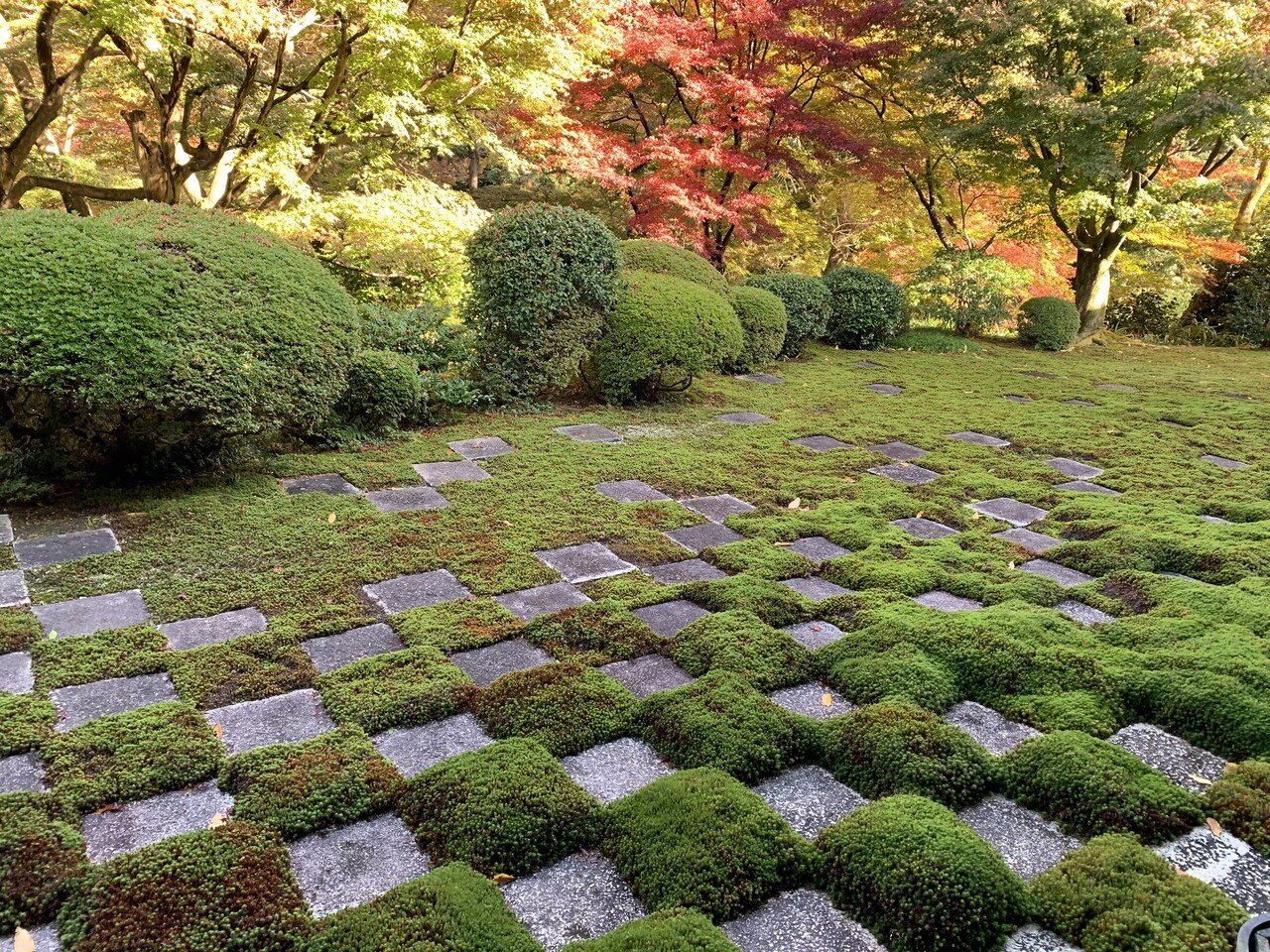 枯野 旧近衛邸 城の様な櫓を借景にした枯山水。 -庭園ガイド