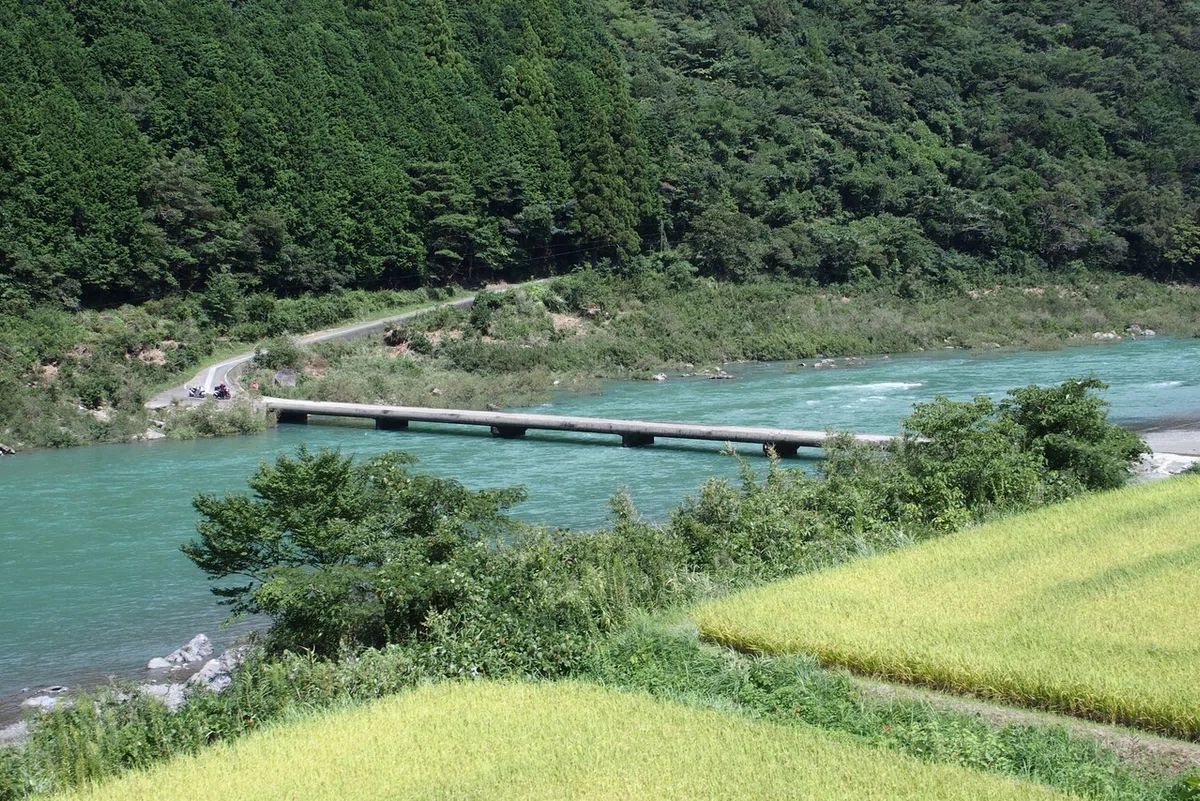 画像18