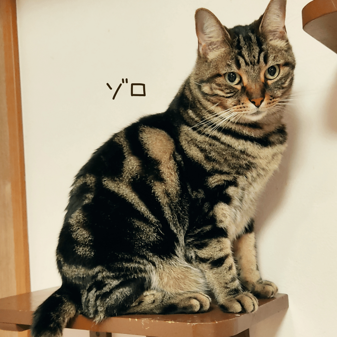 みんなの名前 いきもの画家 Poppo Note