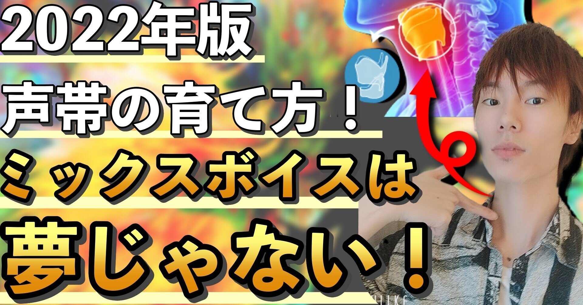 本質と現状 ミックスボイスとは その地声感の正体は 声帯筋 イチ Ichi 低音男子こそ努力すれば輝ける Note