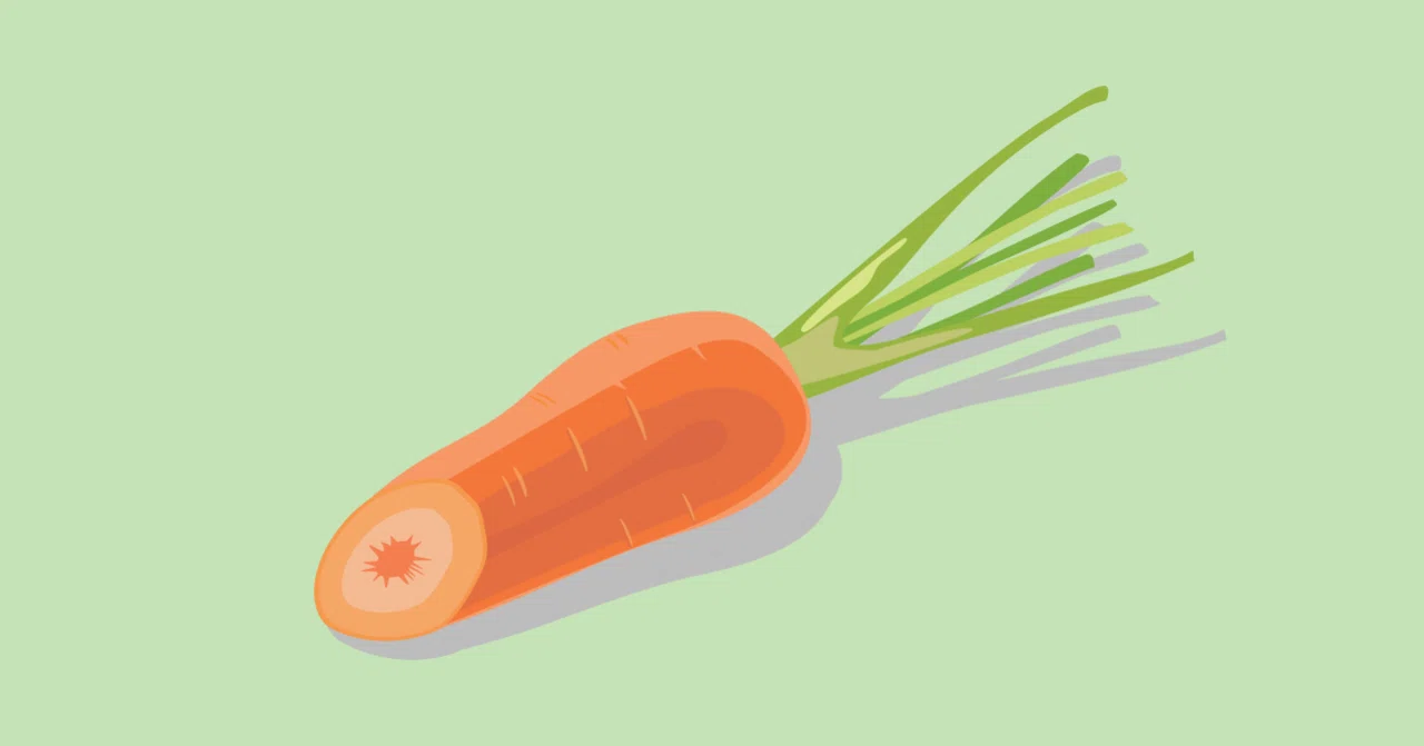 Why is 'carrot' more difficult than 'radish'?｜NPO法人リヴォルヴ学校教育研究所 | 不登校 ...