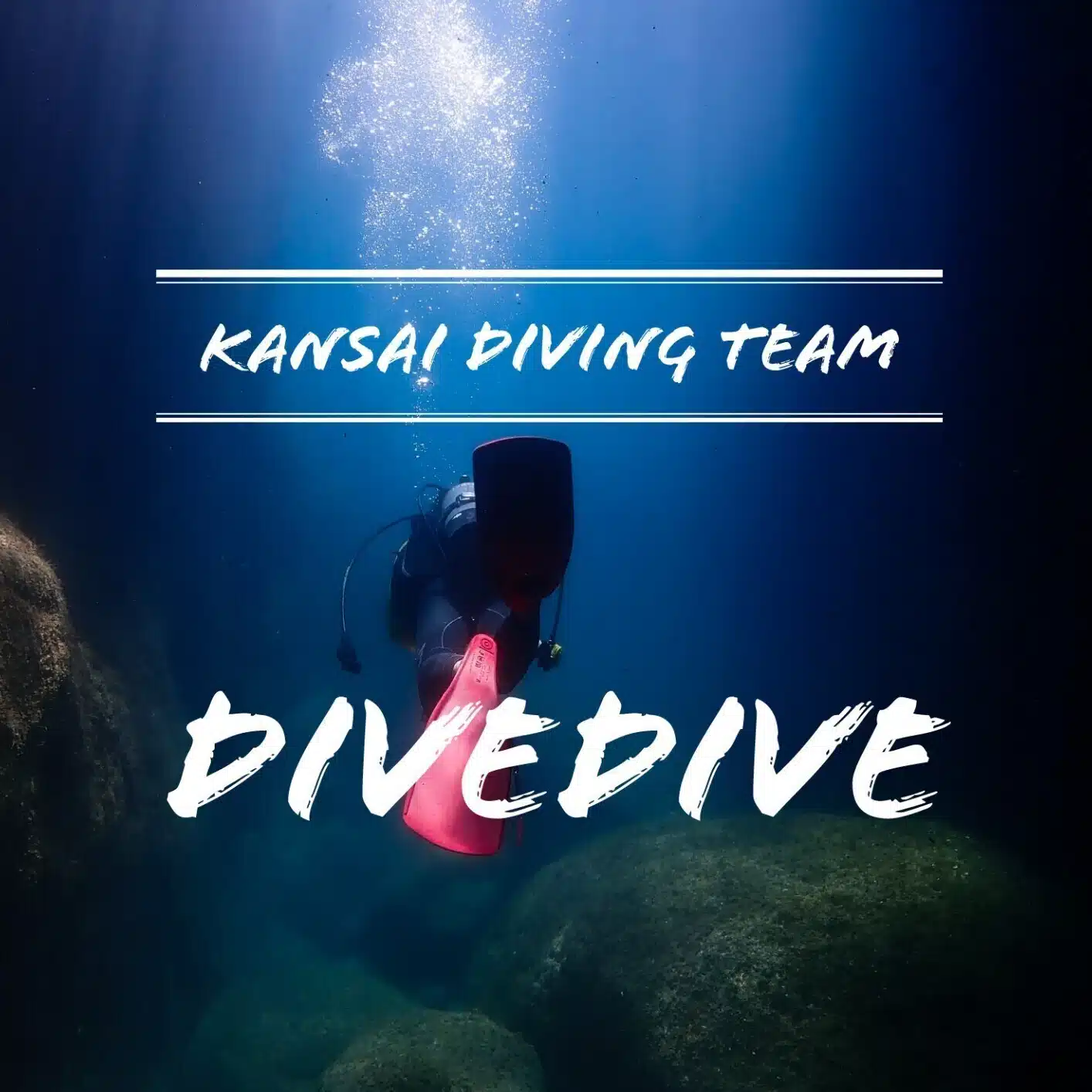 【DiveDive】関西インカレダイビングサークル