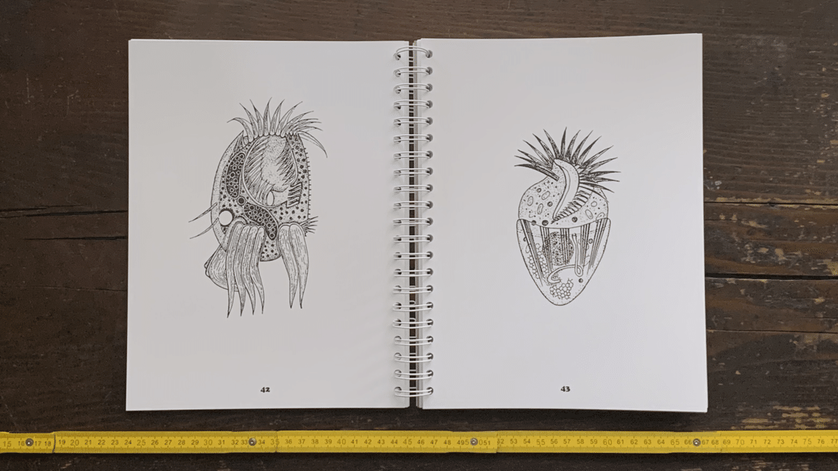 Animalcules Colouring Book|IDEABOOKS JAPAN Animalcules Colouring Book|IDEABOOKS JAPAN