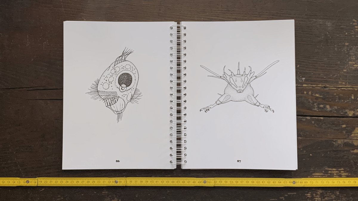 Animalcules Colouring Book｜IDEABOOKS JAPAN