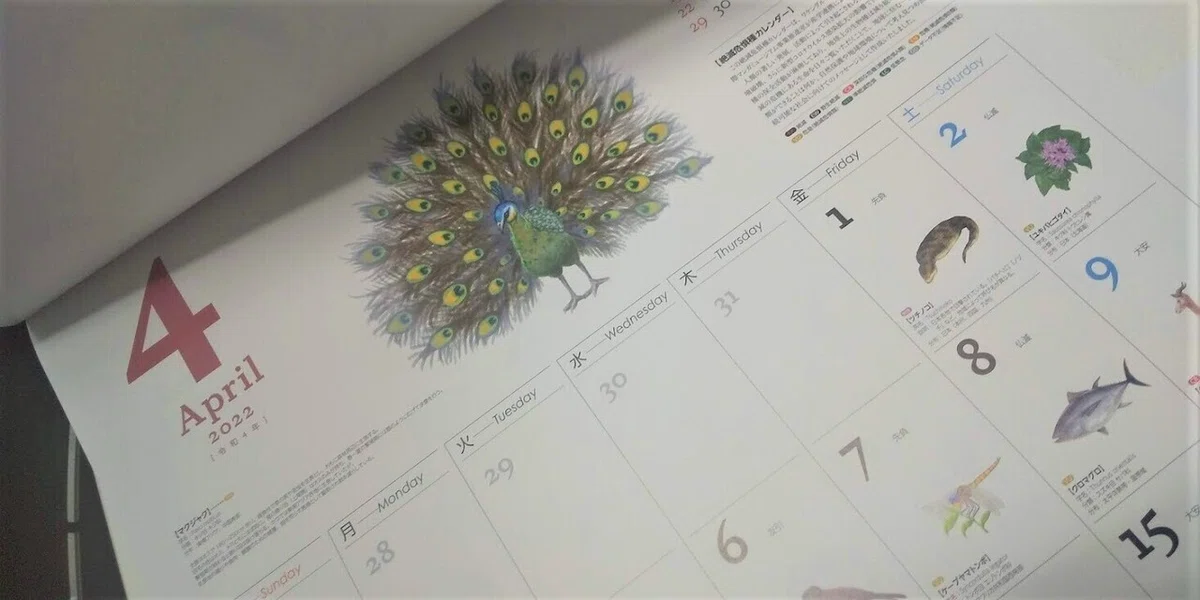 画像2