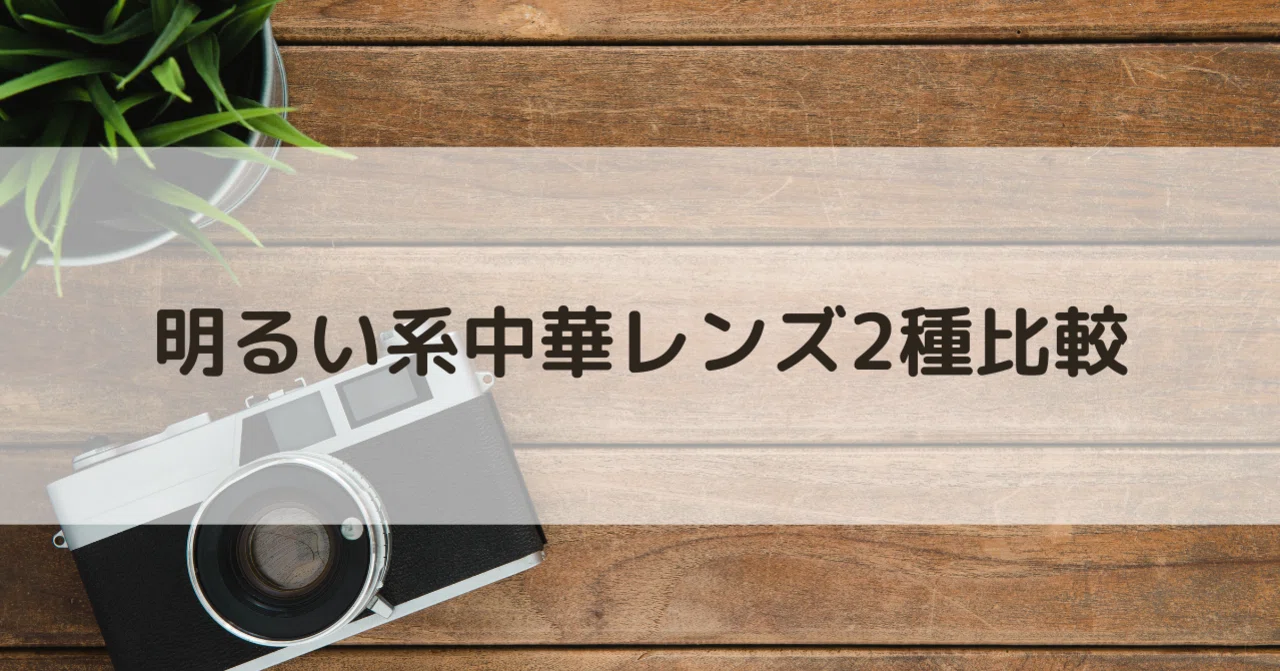 明るい系中華レンズ2種比較｜酒井玲奈（サカイレイナ）