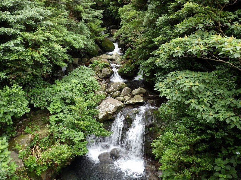 05-1_御蔵島の森林景観