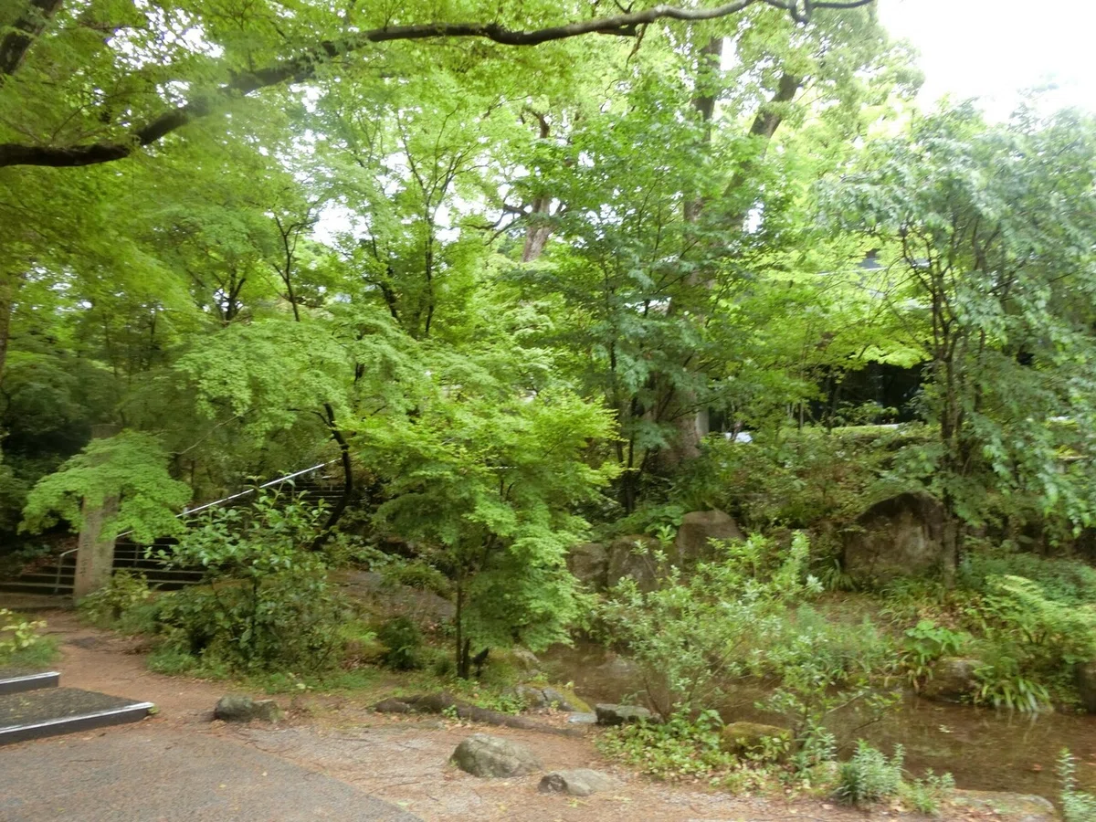 画像4