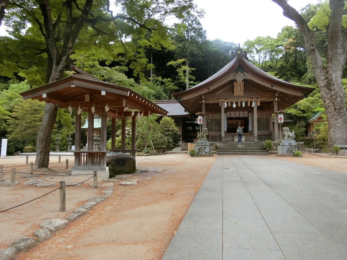 画像6