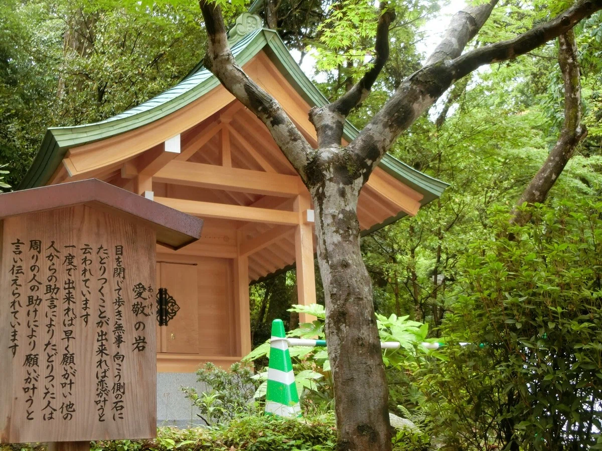 画像8