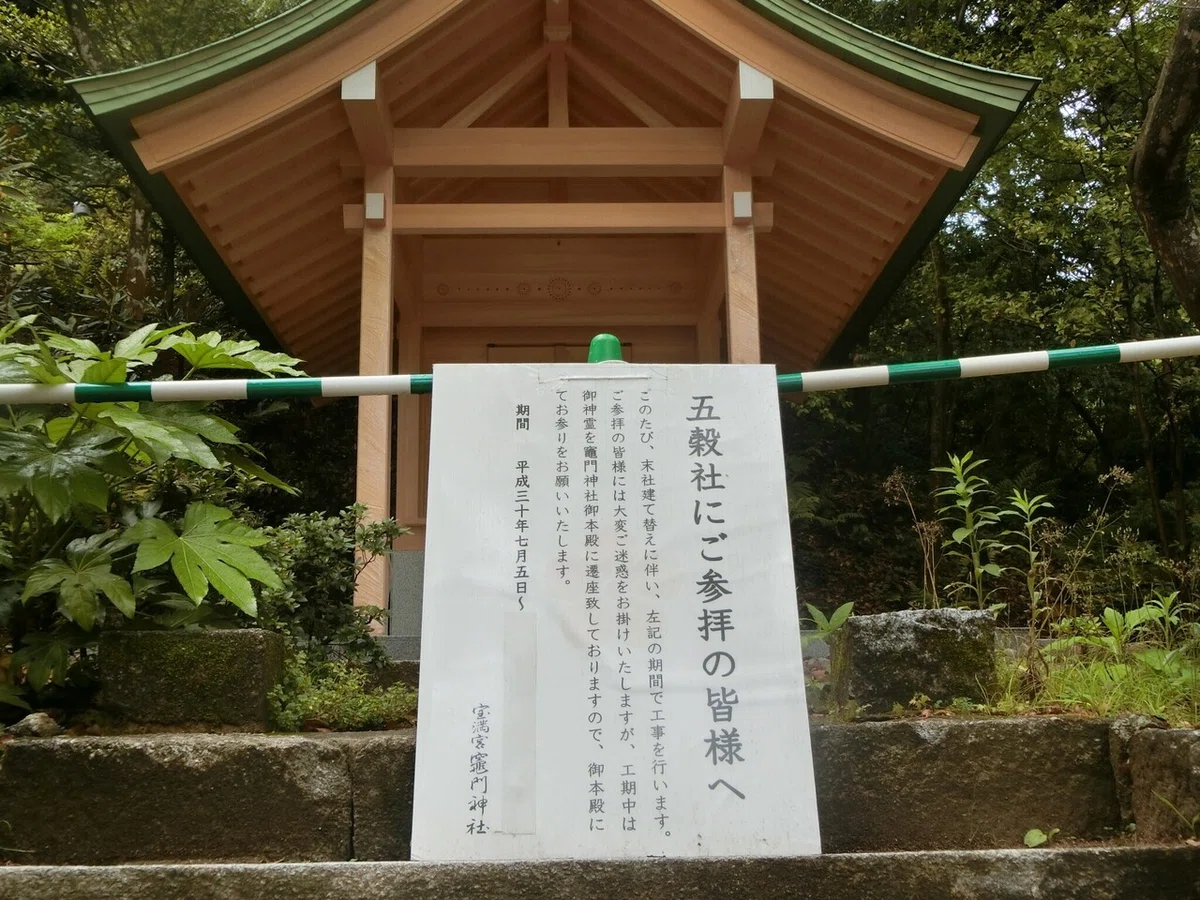 画像9