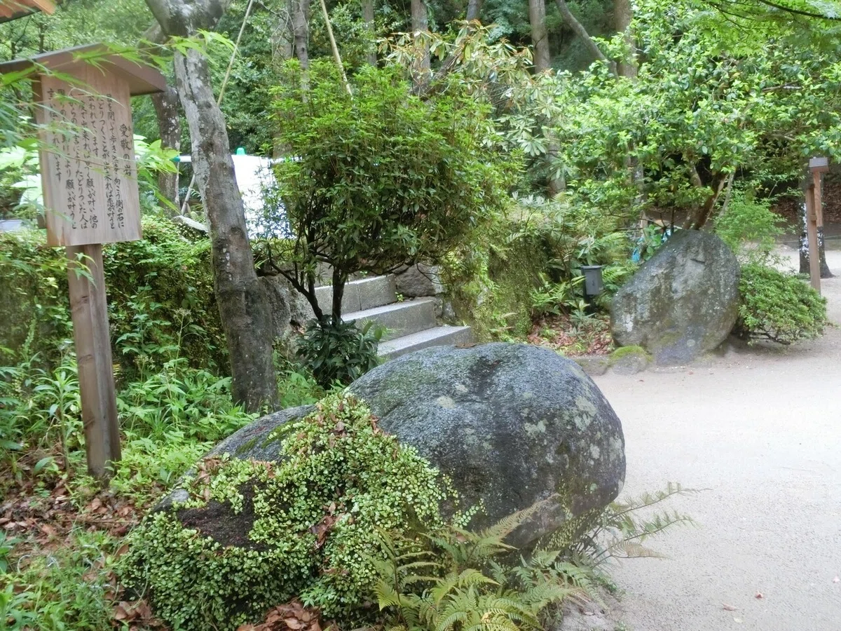 画像10