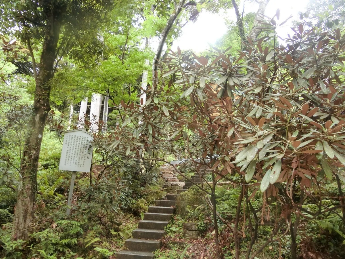 画像13
