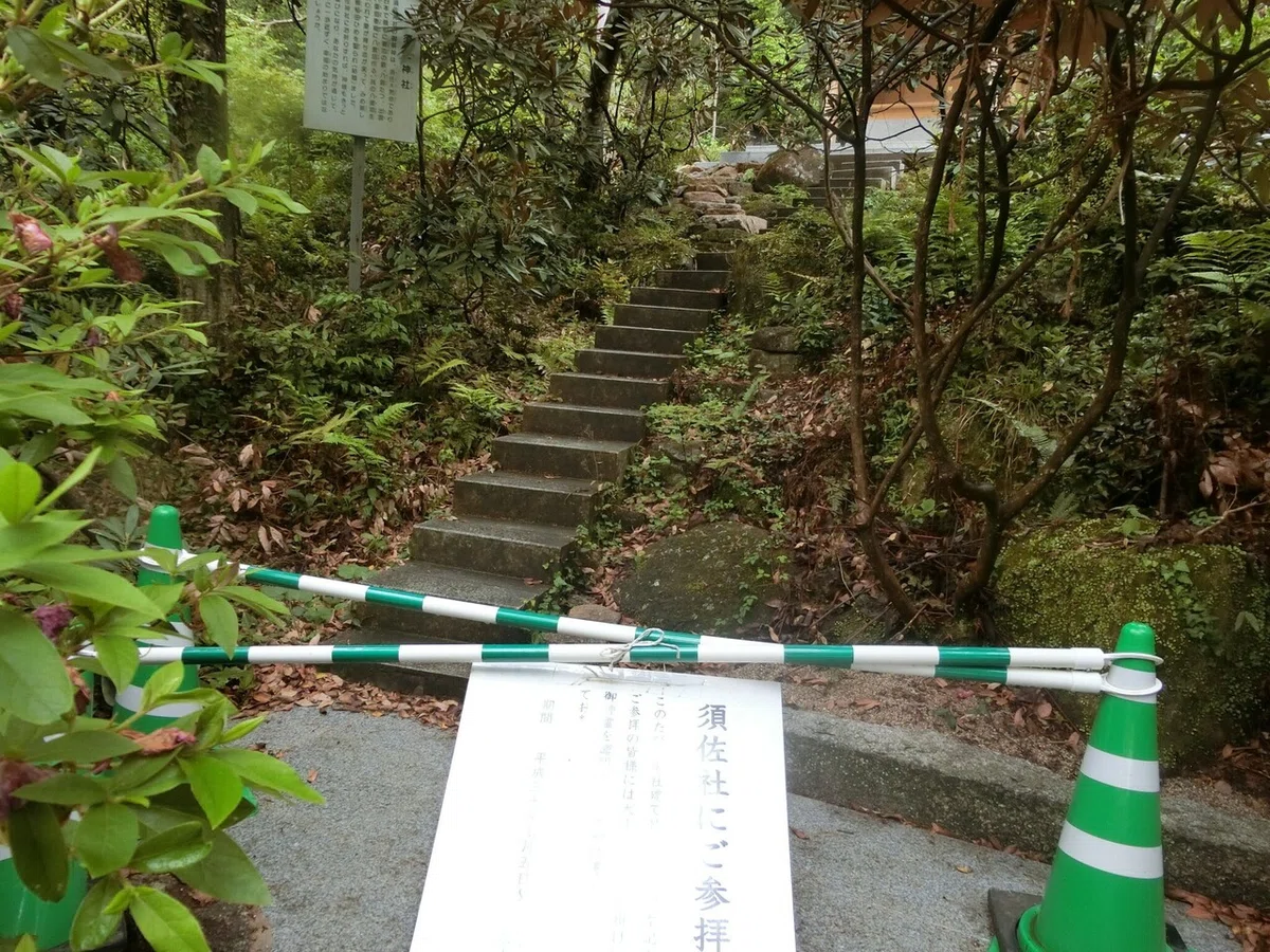 画像14