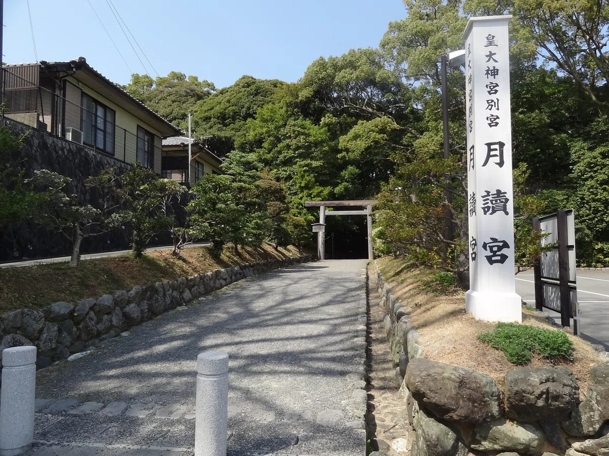 画像8