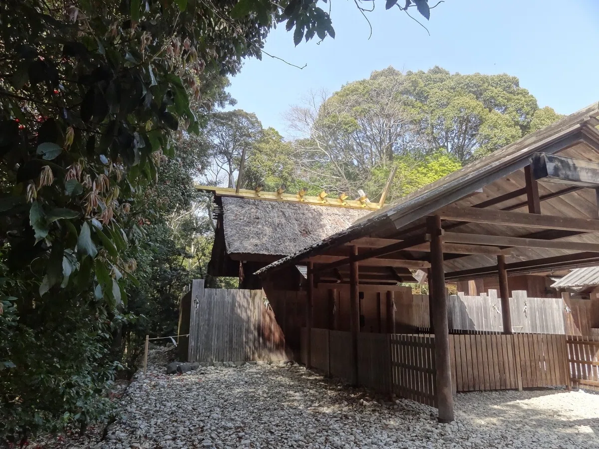 画像12