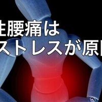 体幹トレーニング が腰痛の人にオススメな理由 長友佑都著 腰痛 椎間板ヘルニア体験談 Note