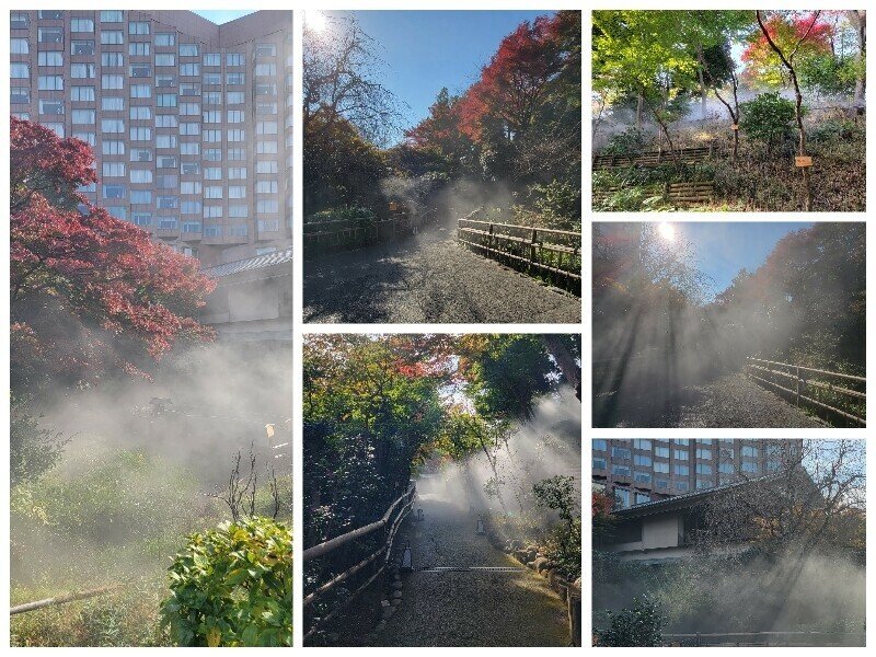 日差しを拡大表示
