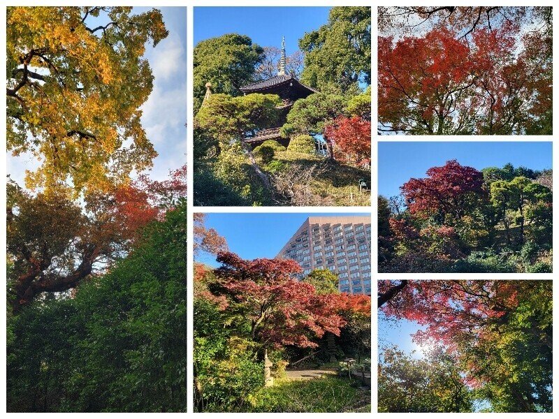 画像5を拡大表示