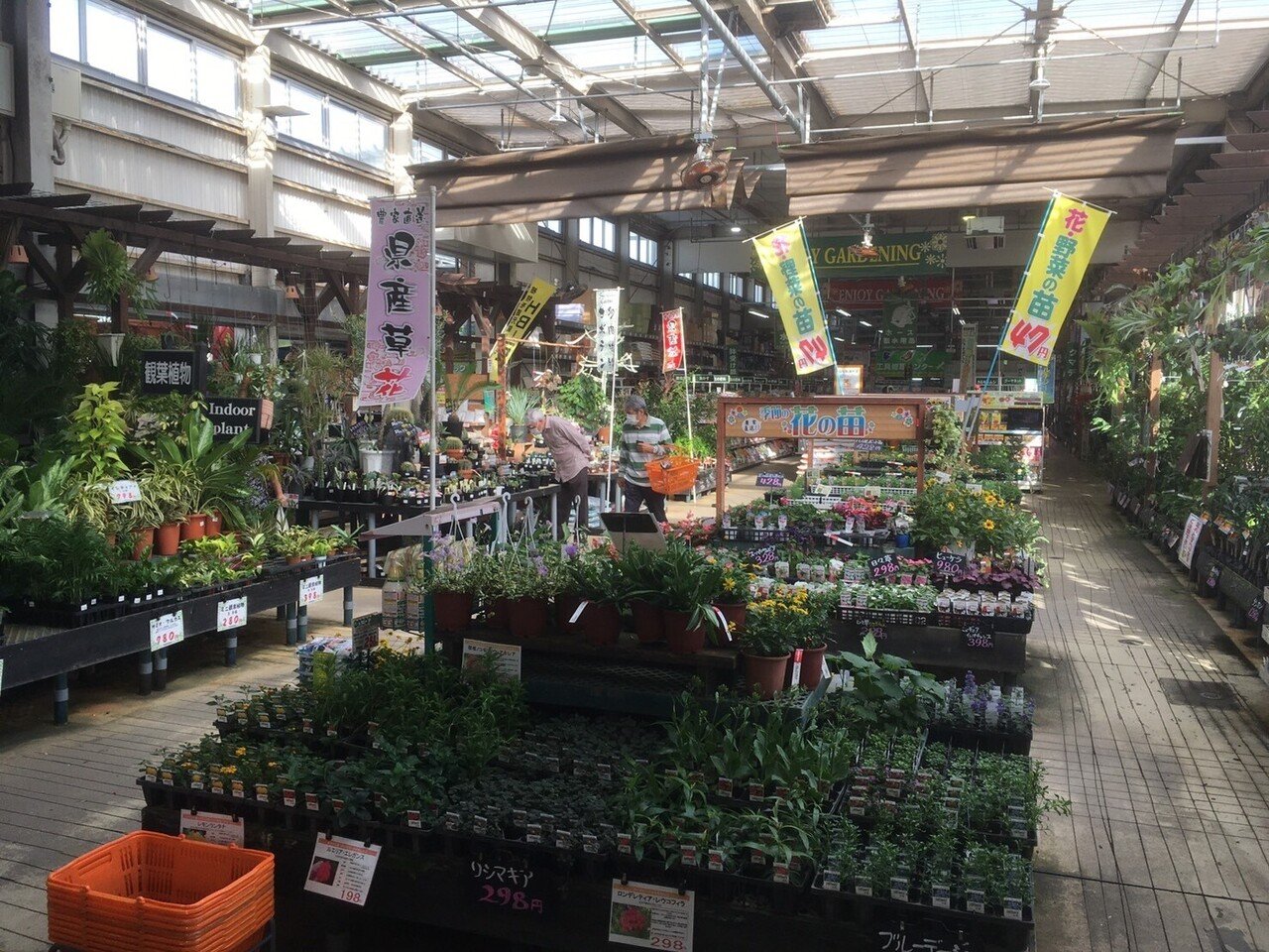 沖縄で出会ったハーブたち 帰ってきて作った料理は ハーブおじさん Note 沖縄で出会ったハーブたち 帰ってきて作った料理は ハーブおじさん Note