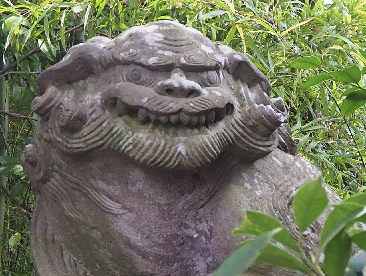 狛犬巡り4 (小田原の狛犬 6社)｜之哲／Yuki Satoru