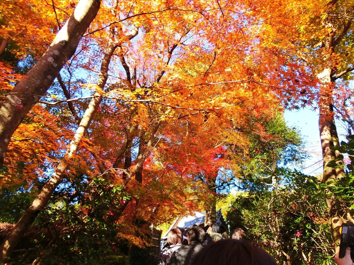画像3
