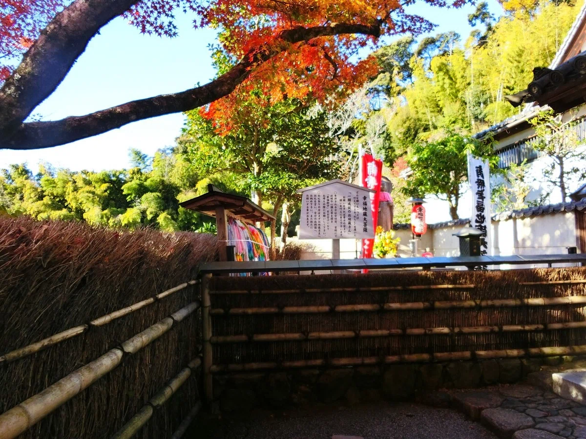 画像6