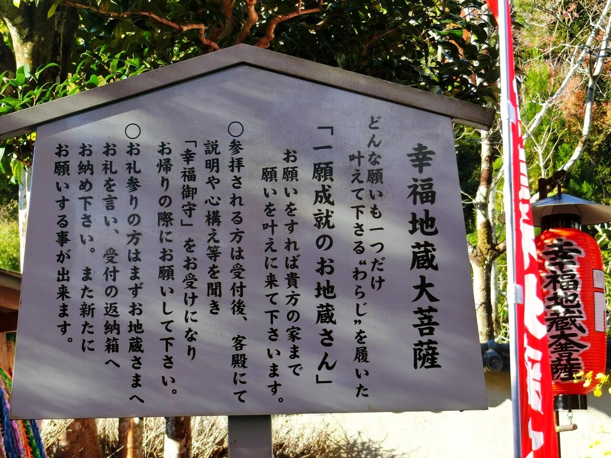 画像7