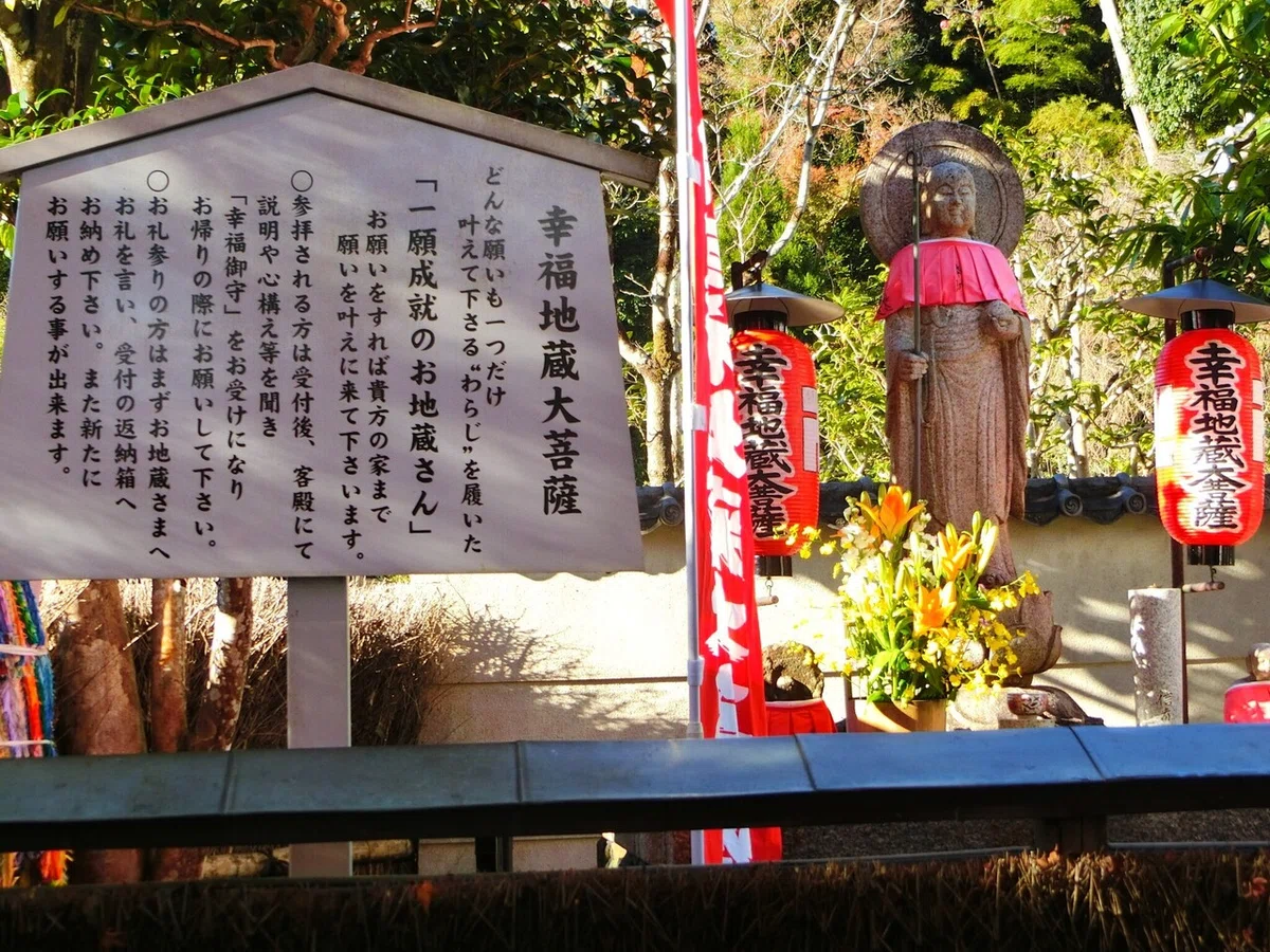 画像8