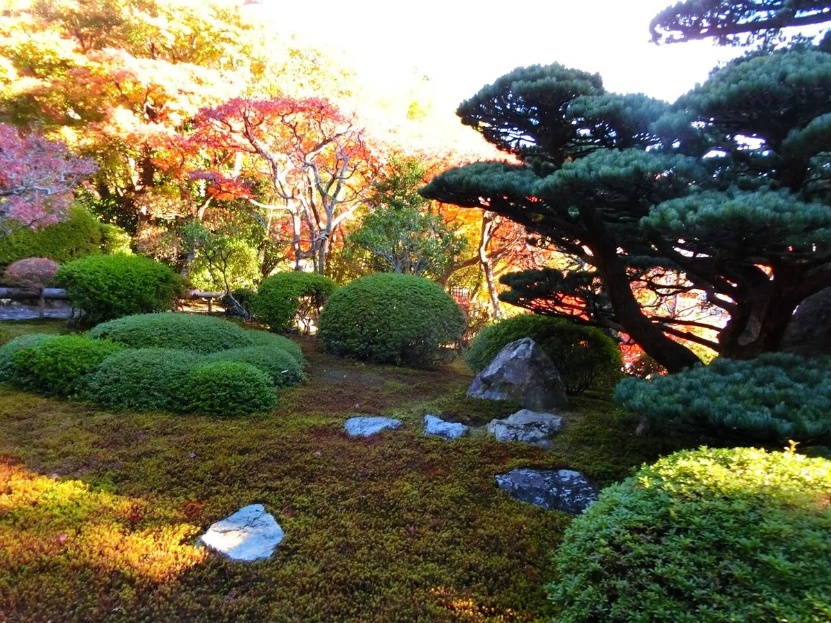 画像9