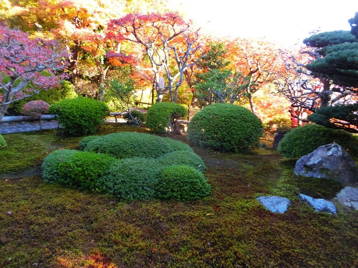 画像10
