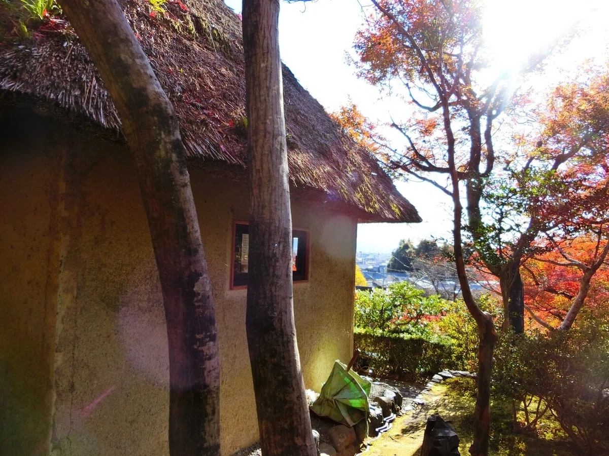 画像13
