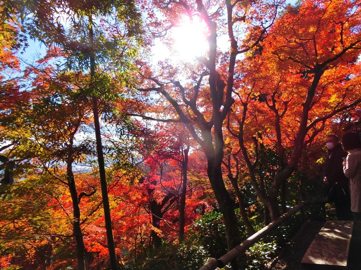 画像17
