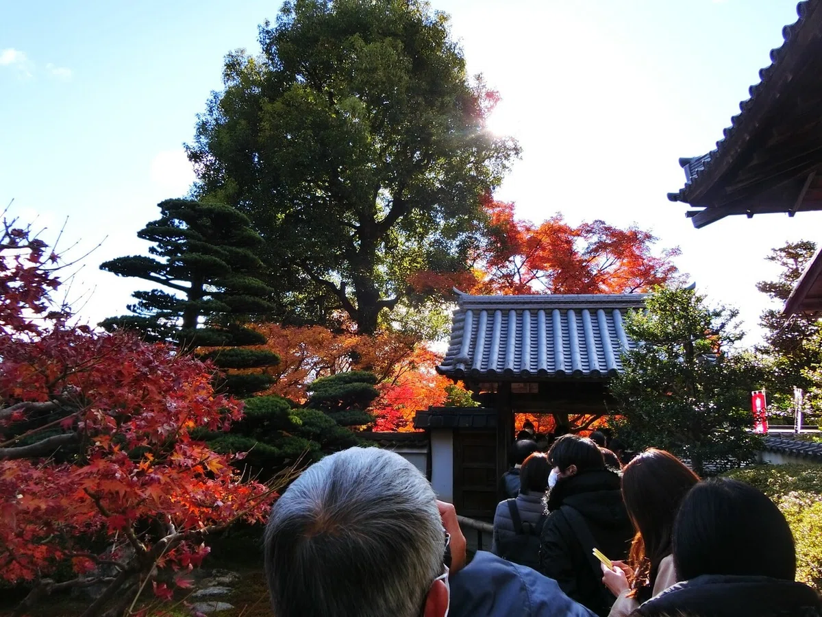 画像20