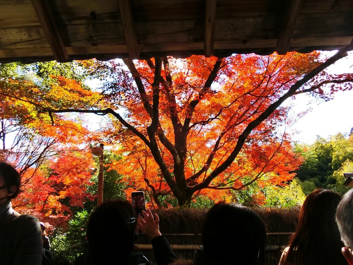 画像24