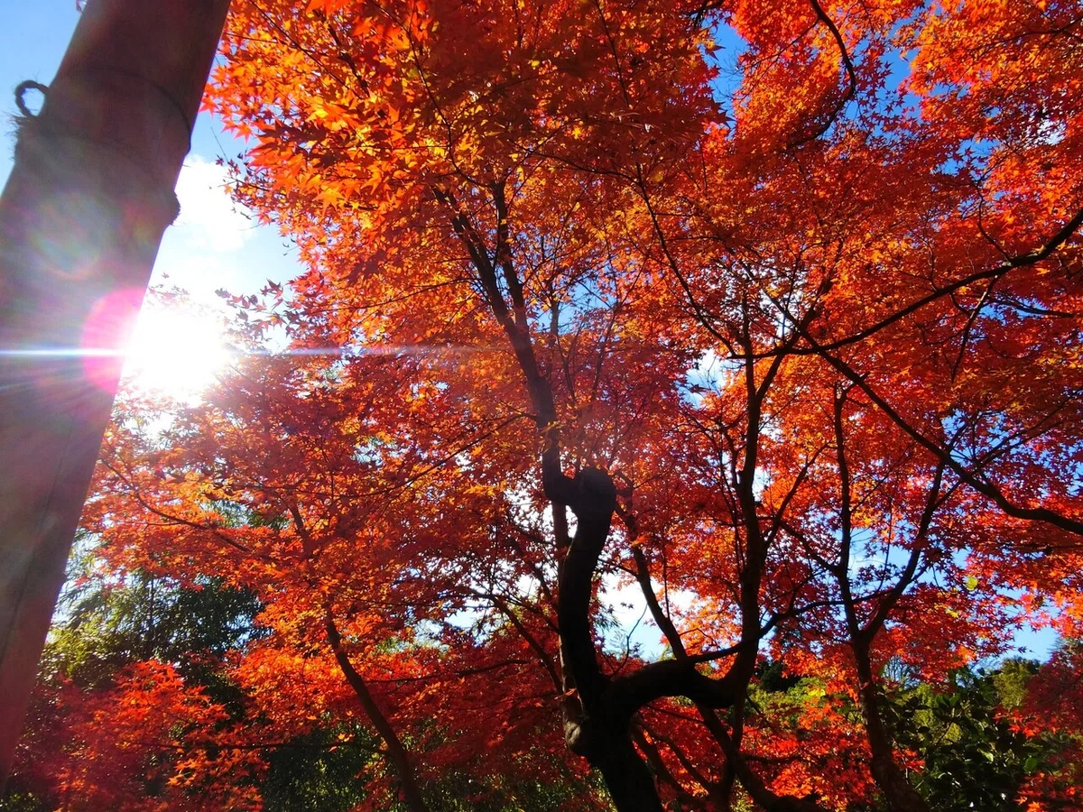 画像28