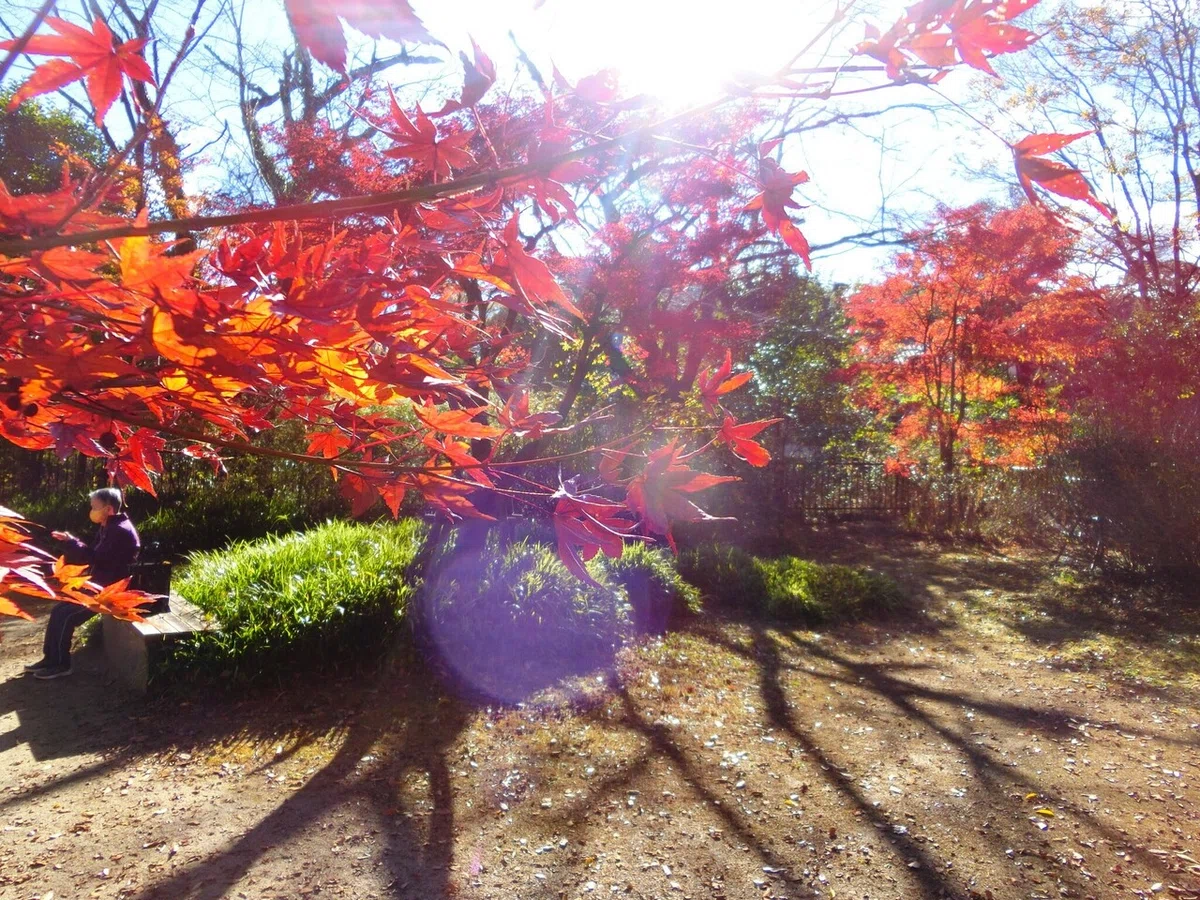 画像33