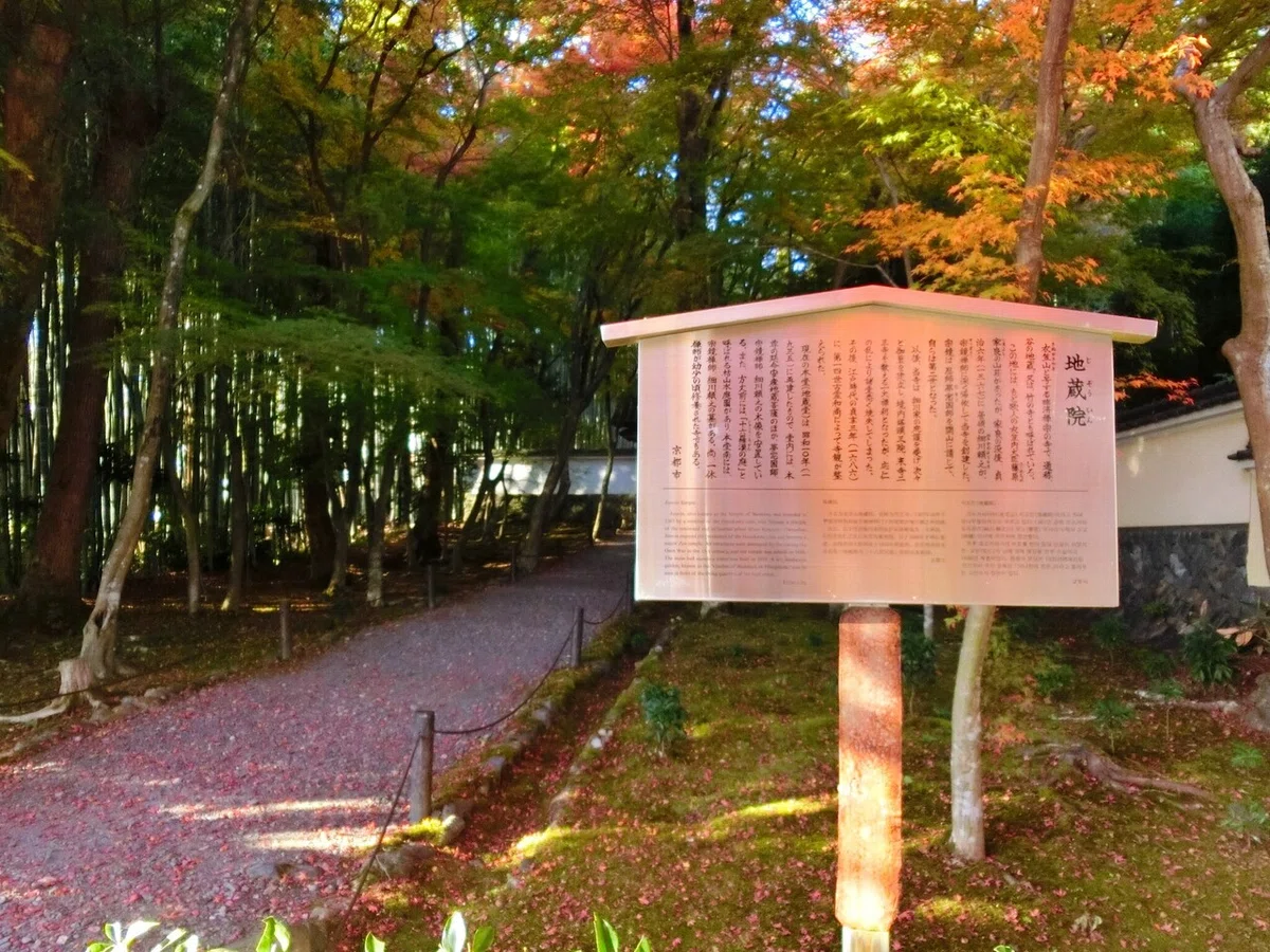 画像14