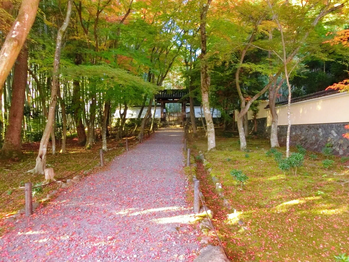 画像15