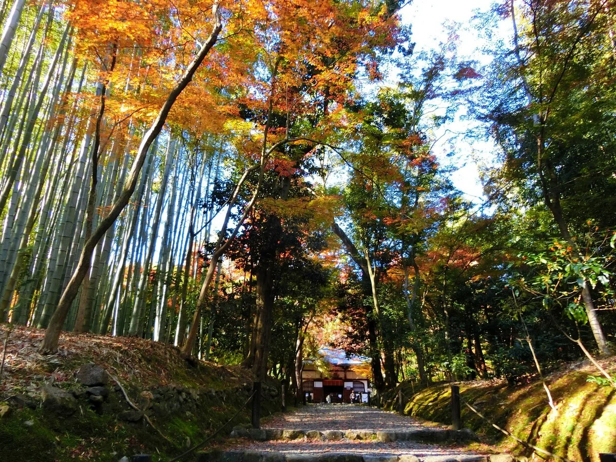 画像19