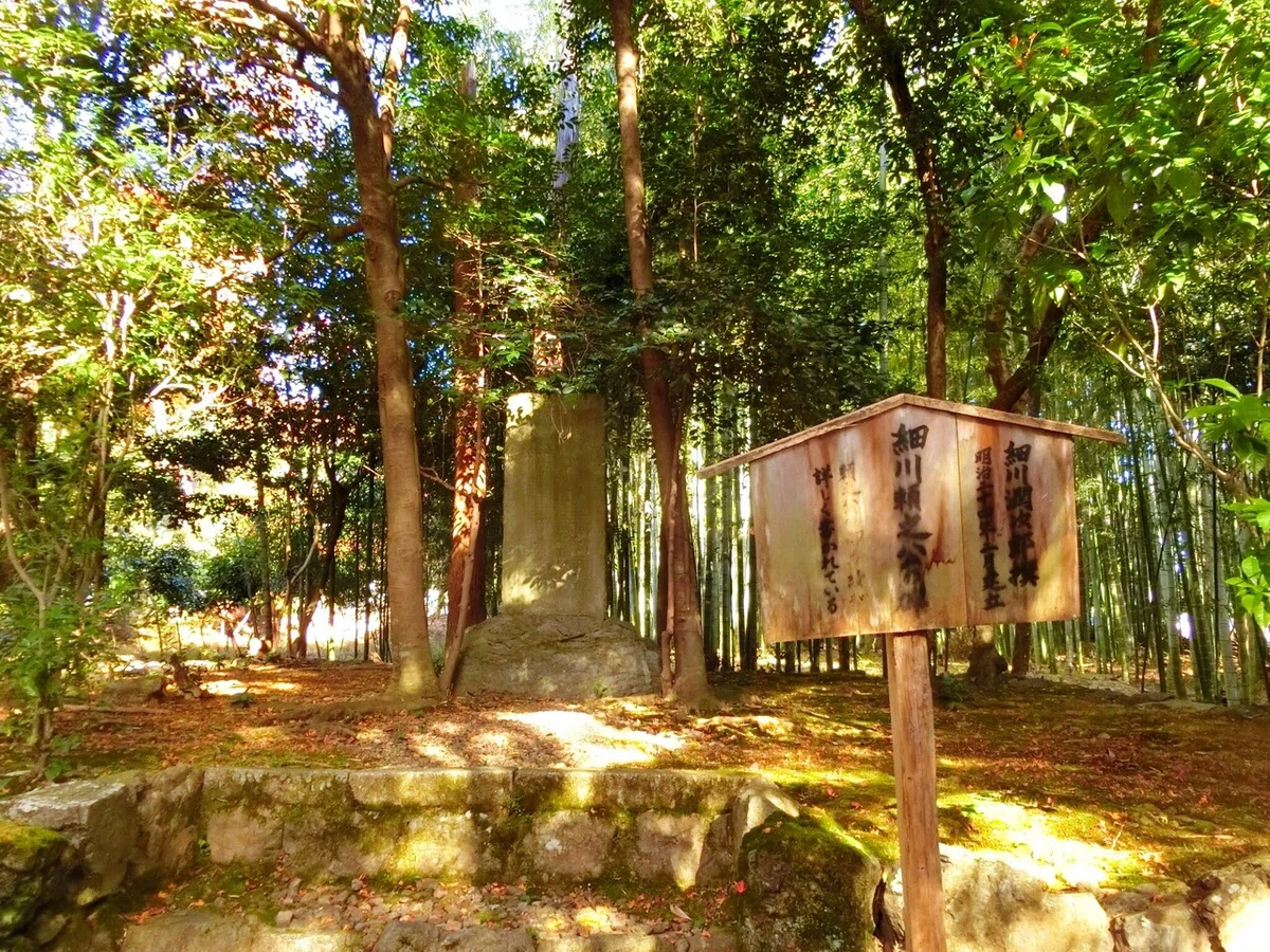 画像21