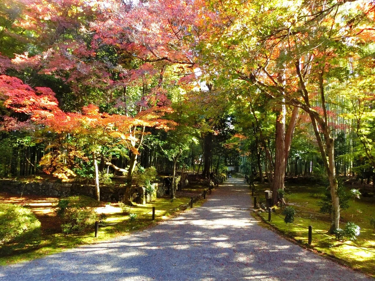 画像27