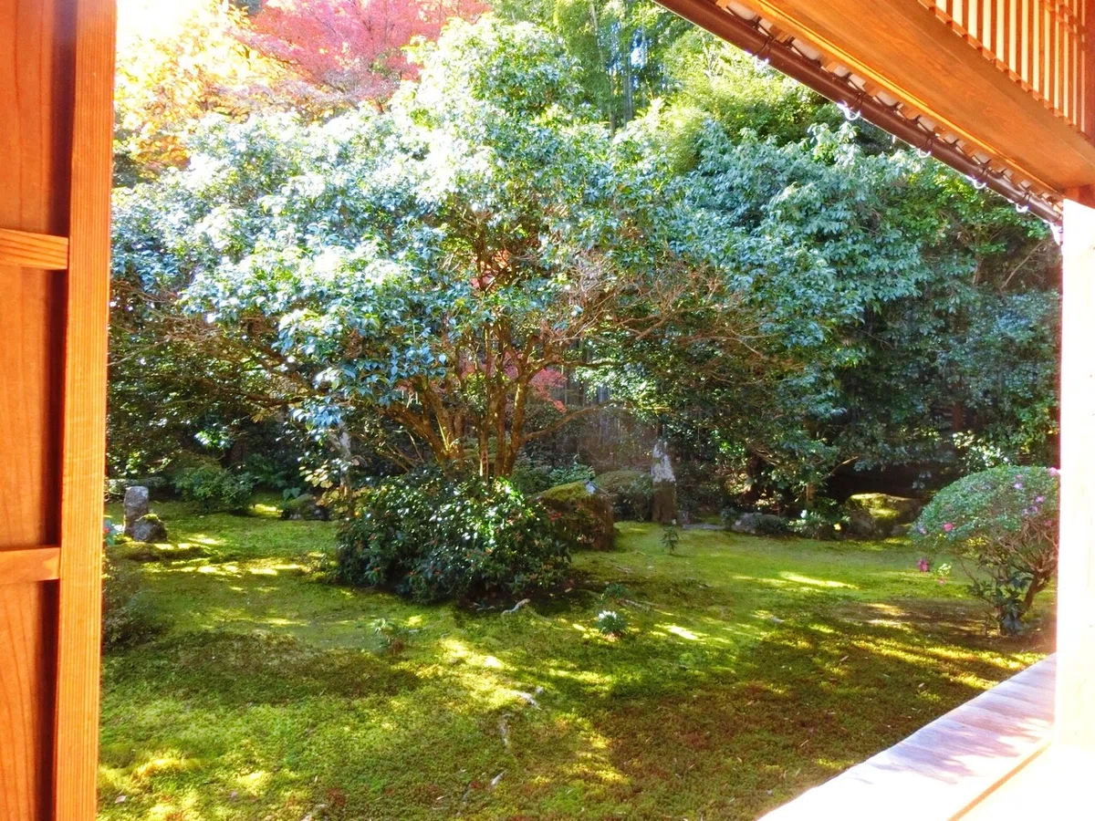 画像33
