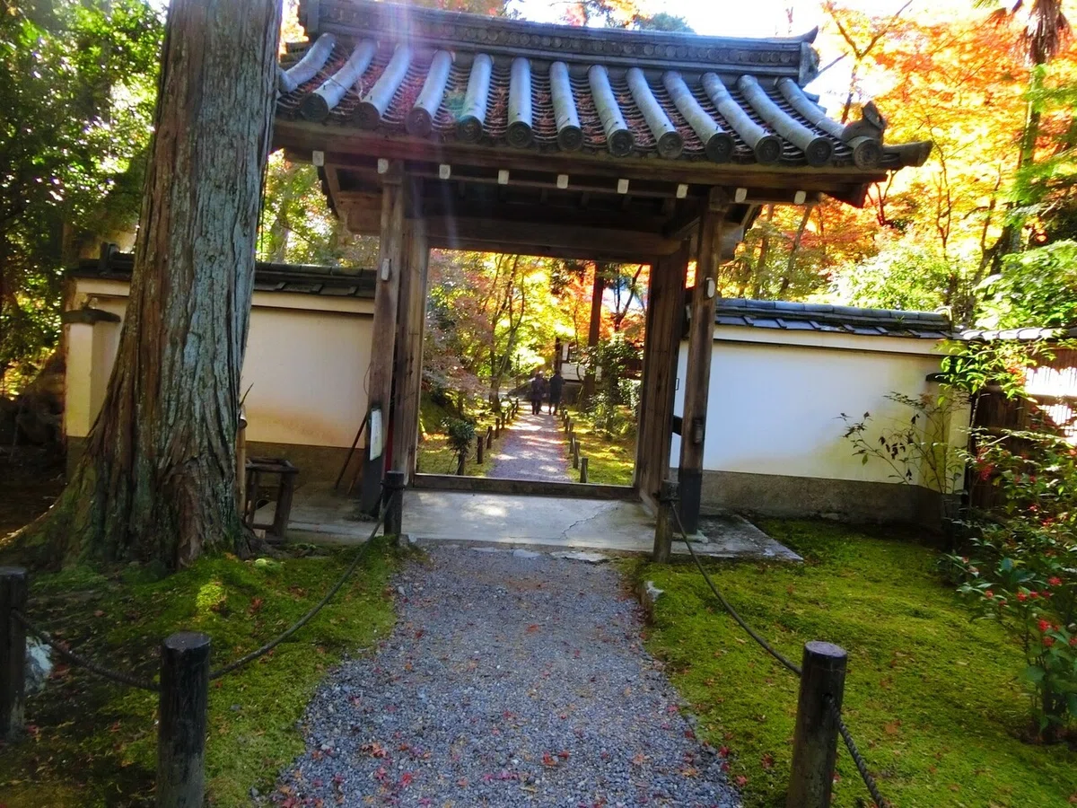 画像39