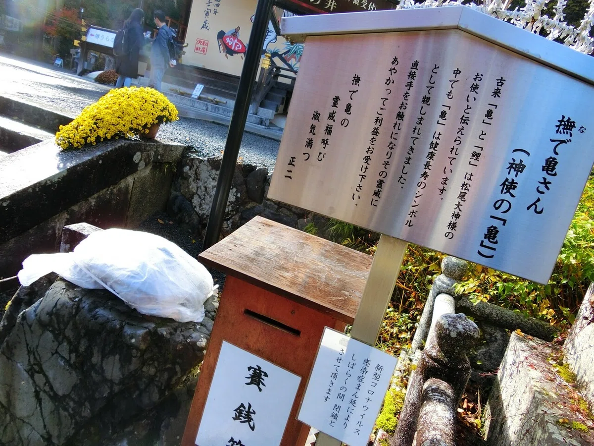 画像47
