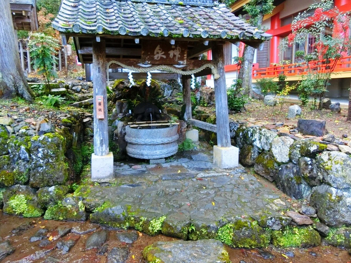 画像48